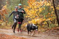 Une première édition de la Course des Belles Gueules au profit de la SPA Estrie